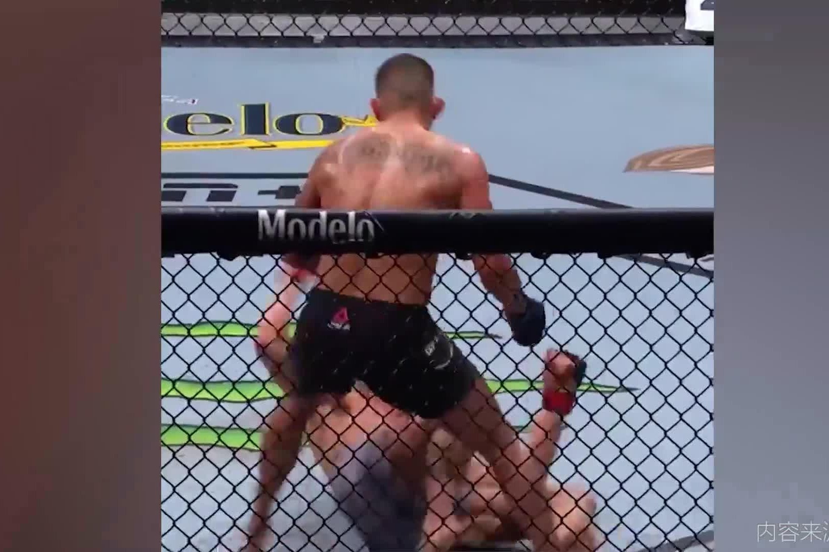 UFC经典KO瞬间 对手倒地仍然两记重拳爆头