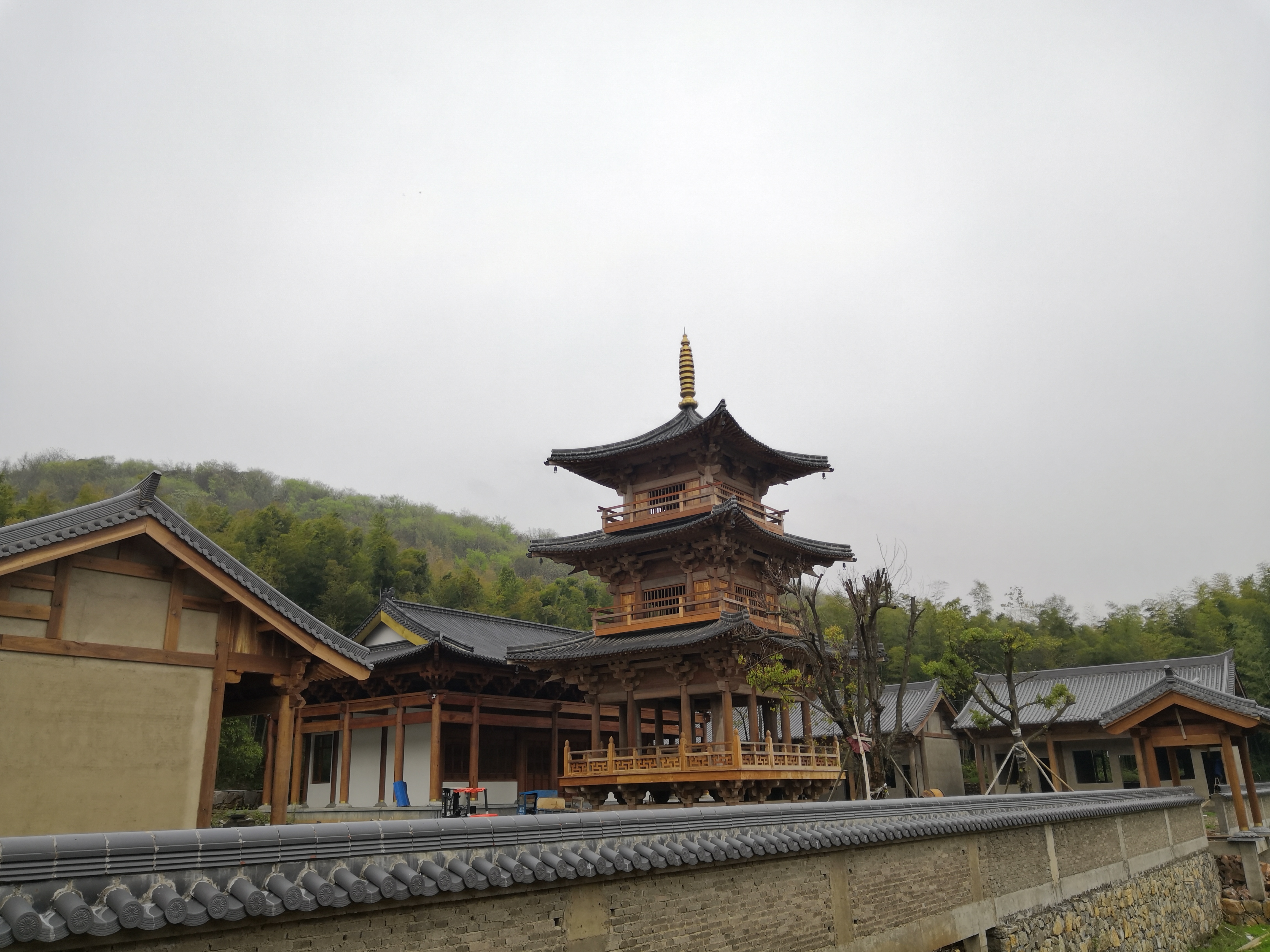 赵州"吃茶去",吃的是哪里的茶?