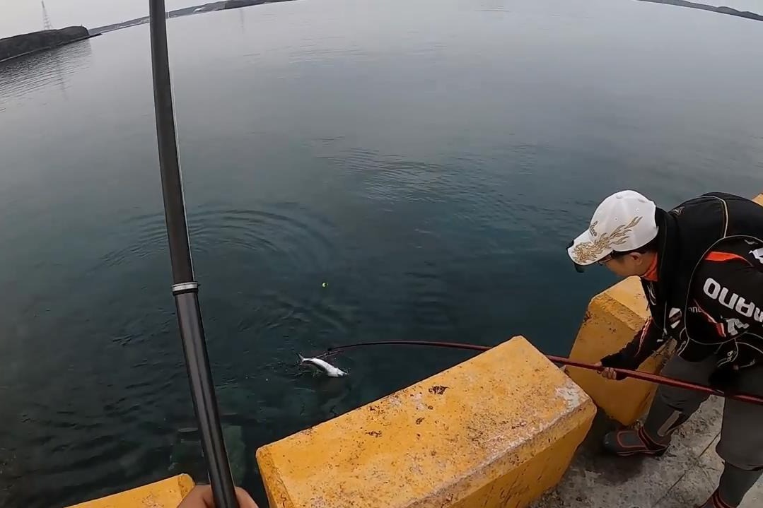 漁港中泥猛魚蝨目魚水美魚肥釣魚正當時