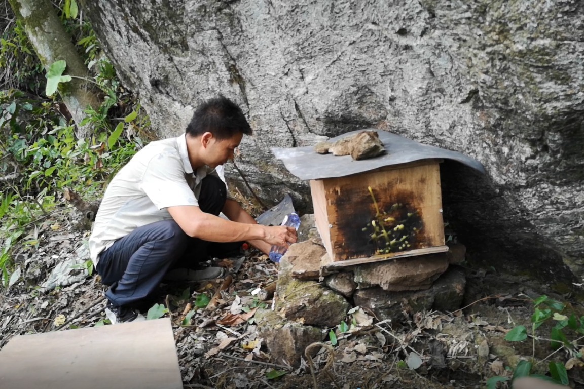 放诱蜂箱应该找什么位置找村夫这样的位置肯定能来货