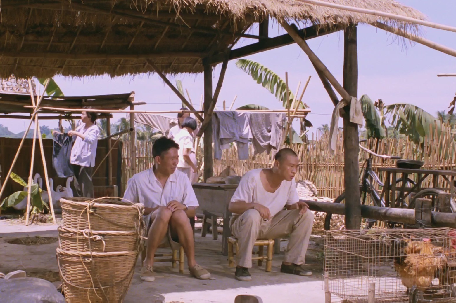 《香蕉天堂》：一个人的生死，大于任何的礼义廉耻