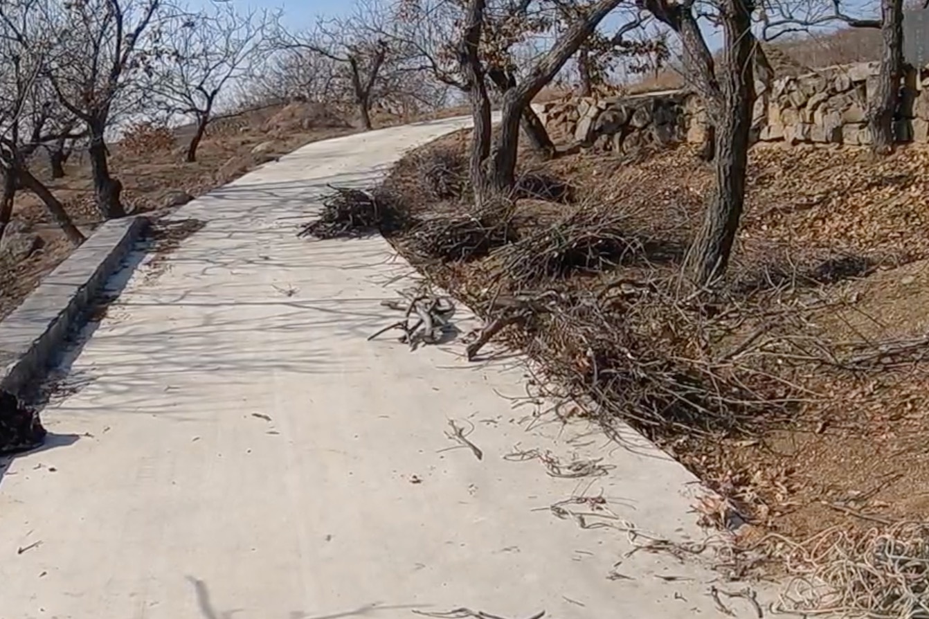 邻居家的板栗树截枝，我们全家去捡拾干柴，二哥开三轮车来帮忙