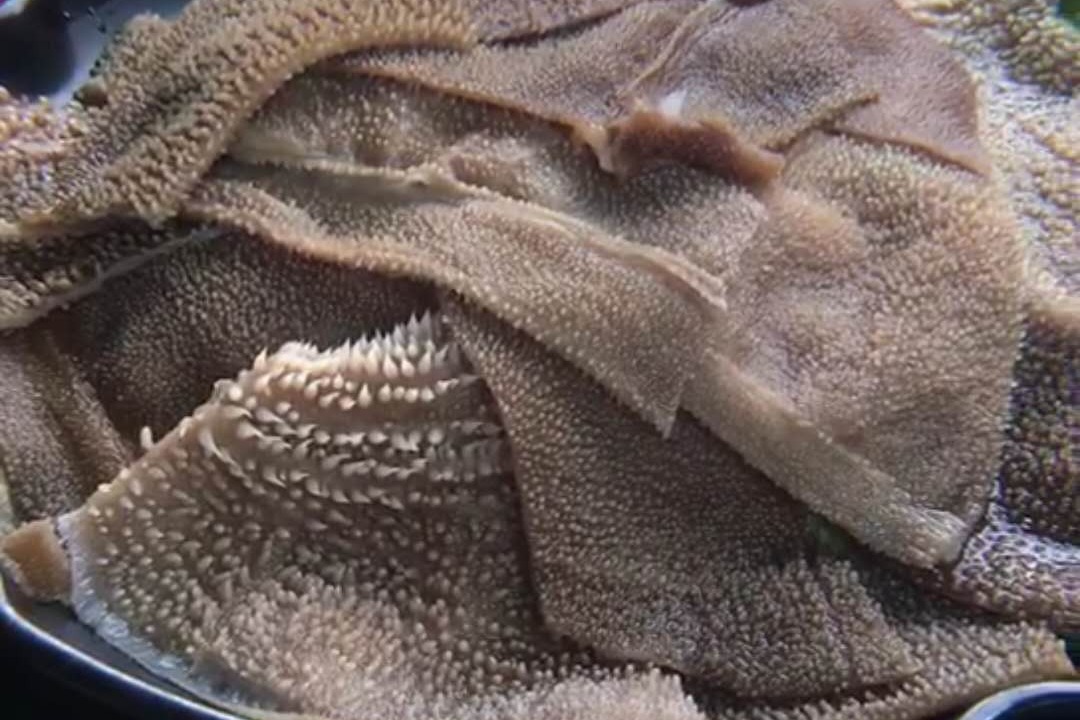 毛肚——老院子重庆火锅