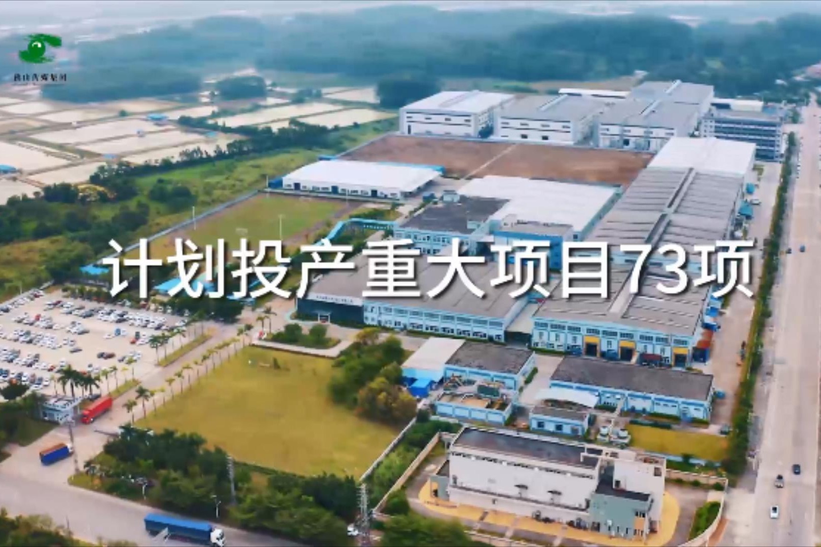 佛山市2020年上半年g_佛山市假烟案2021年