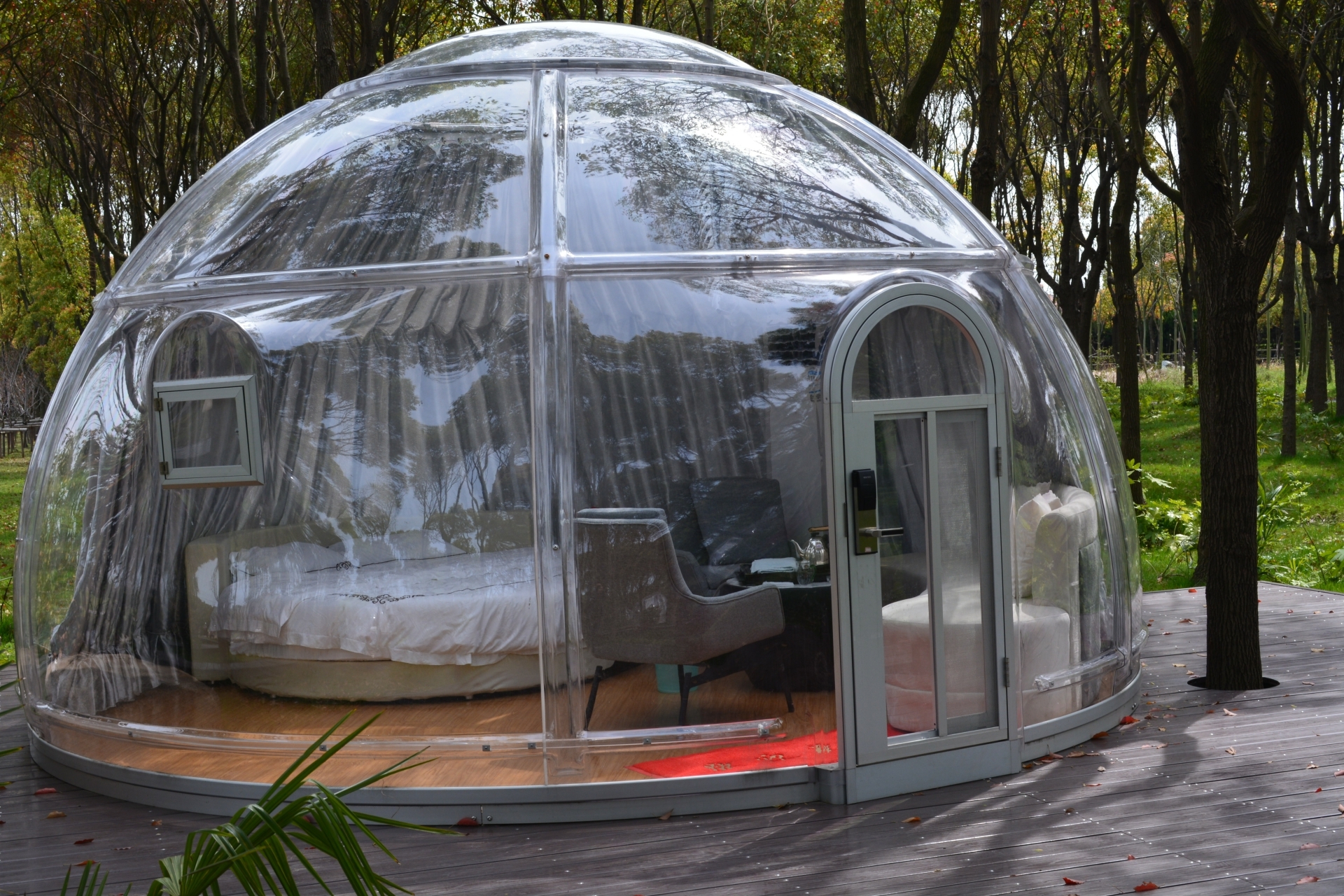 听说也有泡泡屋,所以罗泾水源涵养林和科幻森林二选一中,距离稍微近了