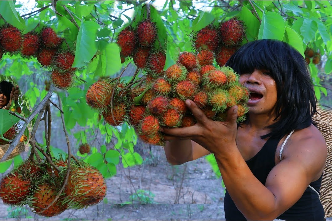 男子野外寻找食物，其实求生有很多吃的，就看你能不能找到