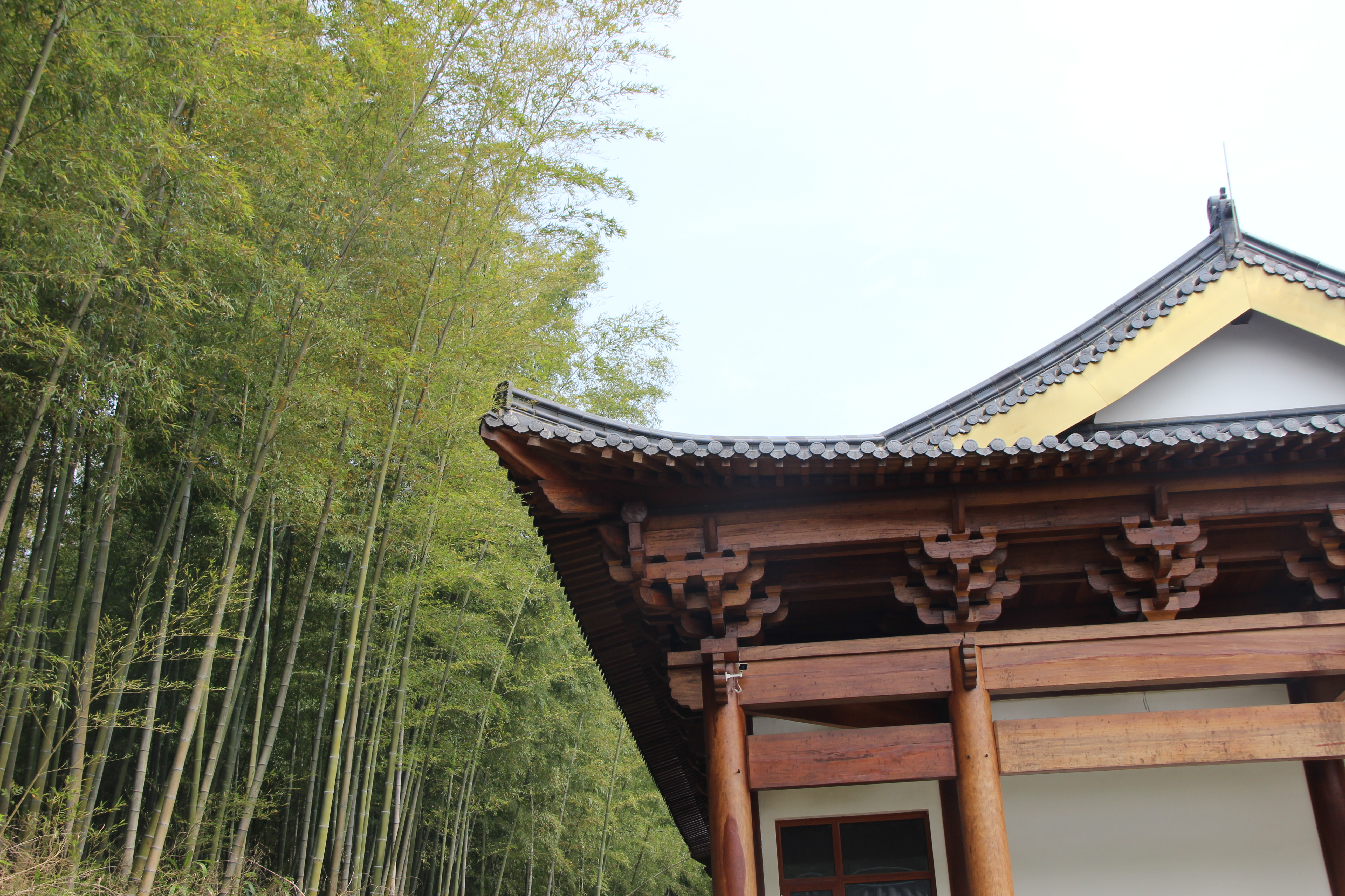 打开凤凰新闻,查看更多高清图片重建中的南泉禅寺只管行将去!