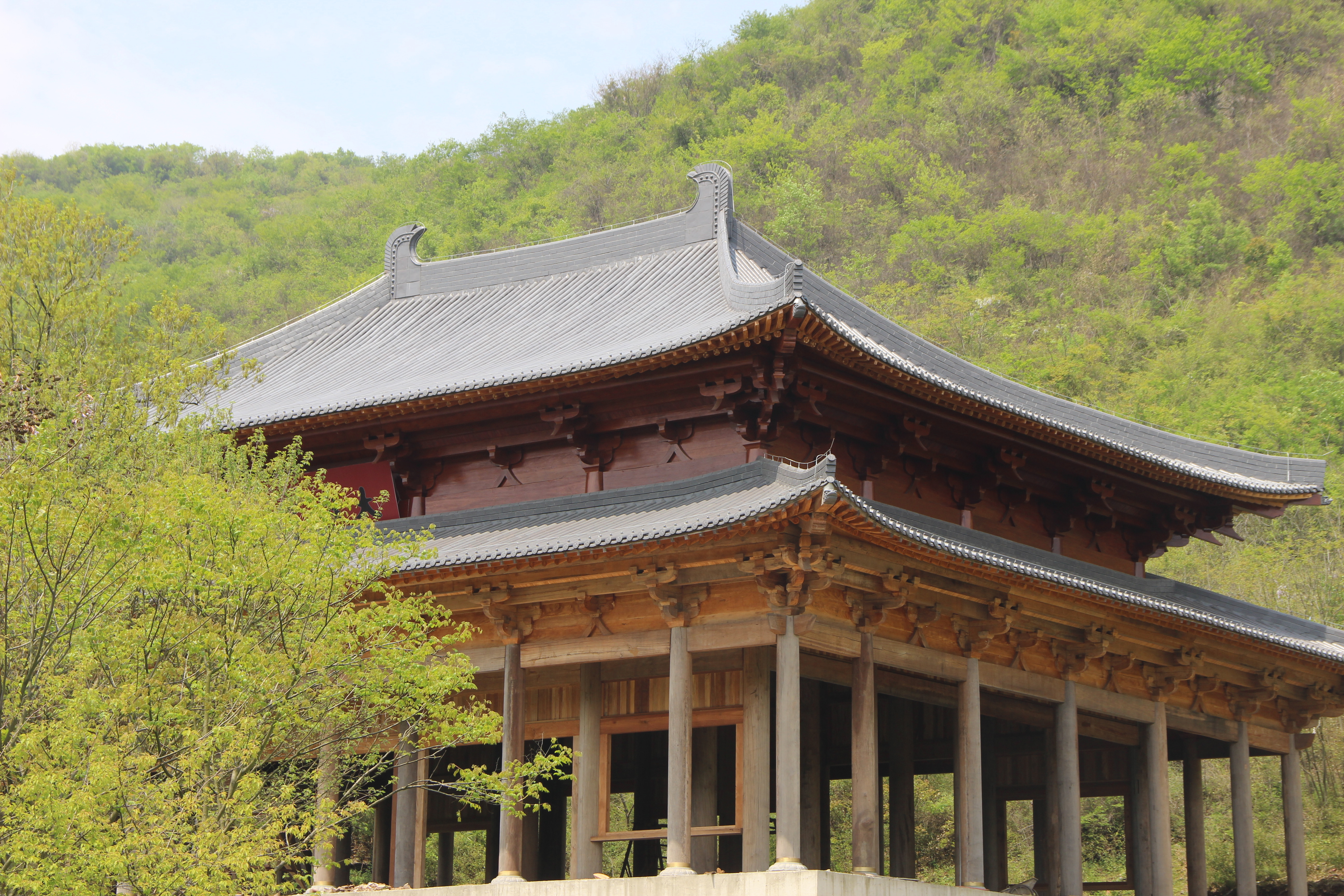 来就来,去便去__凤凰网