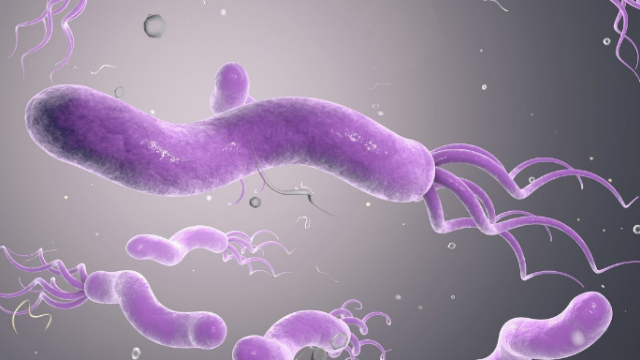 幽门螺杆菌及治疗，感染幽门螺杆菌如何治疗？