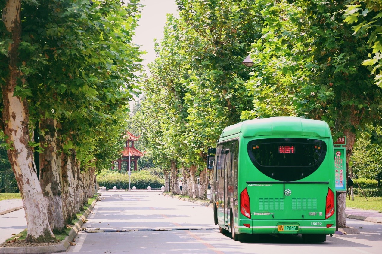 绿色出行 秀出环保潮姿态