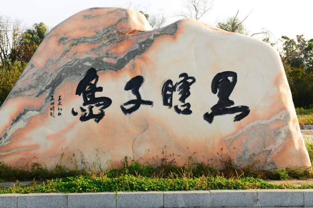 对中国最友好的国外首脑，归还中国大片领土后，如今或将告别政坛