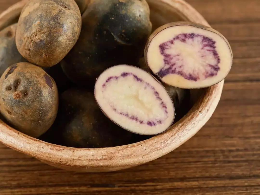 舌尖上的乌洋芋__凤凰网