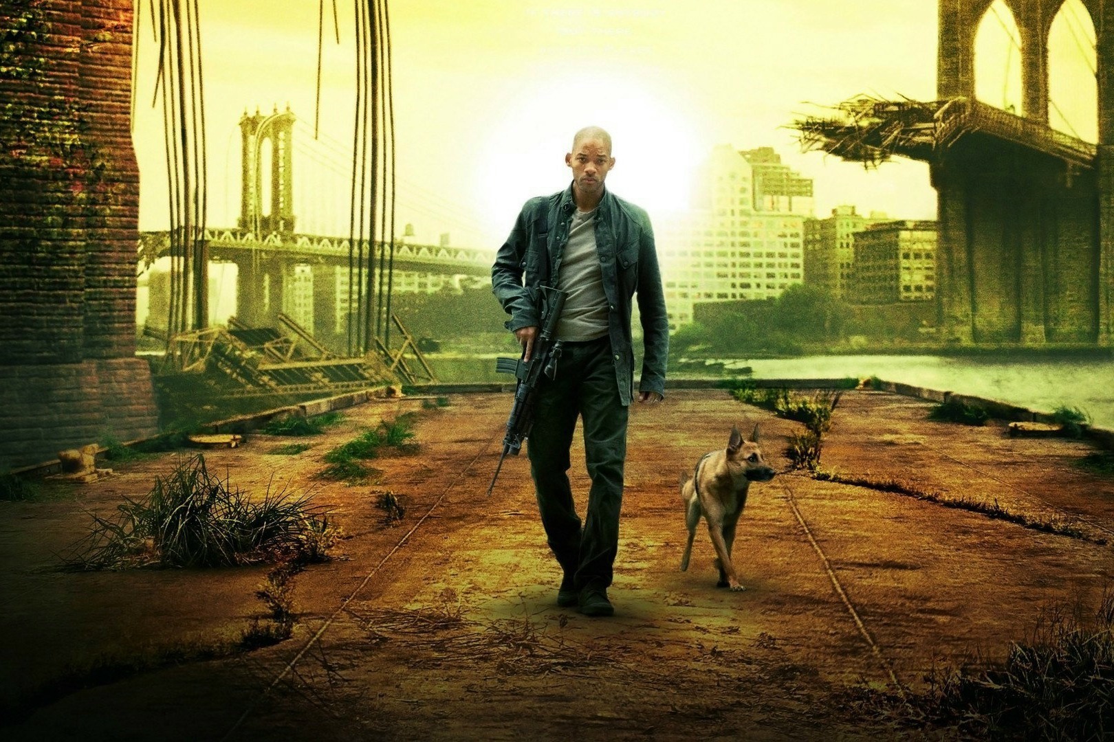 跟你透漏一下这部电影在国外是14a,意思就是14岁以上的人才能看!