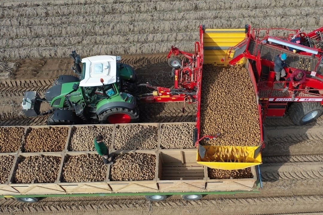国外大型农场实拍,他们是如何收获蔬菜的?这场面绝不多见!