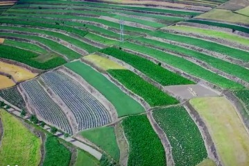 甘肃庄浪县的绿色崛起——百万亩梯田百万亩绿