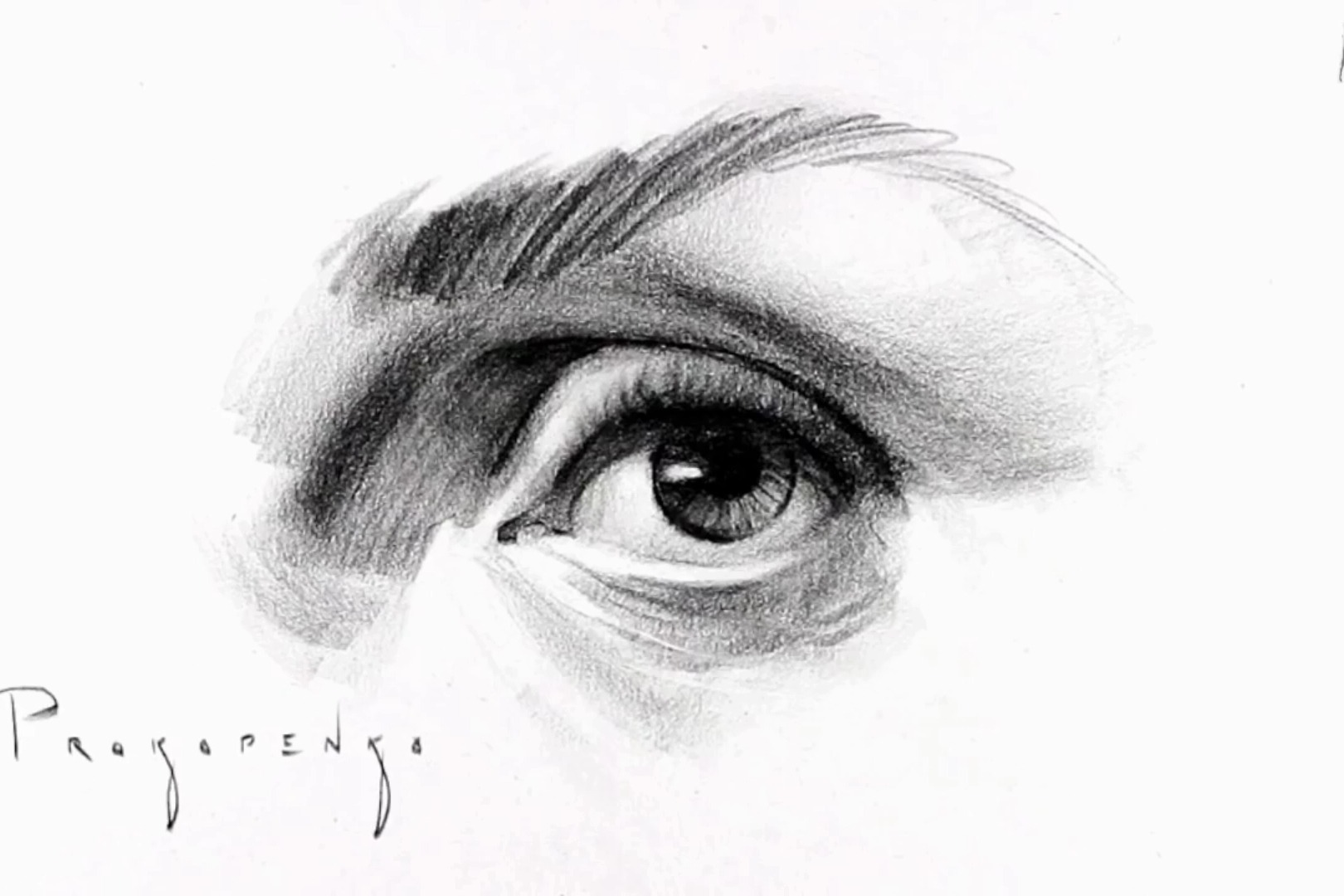 眼睛素描绘画教程