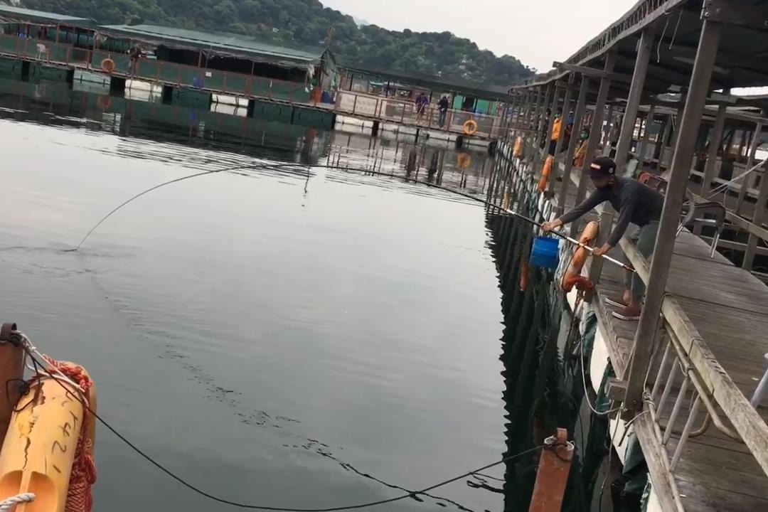 钓鱼人鱼排钓钓60cm大红鮋钓鱼瘾过得足足的