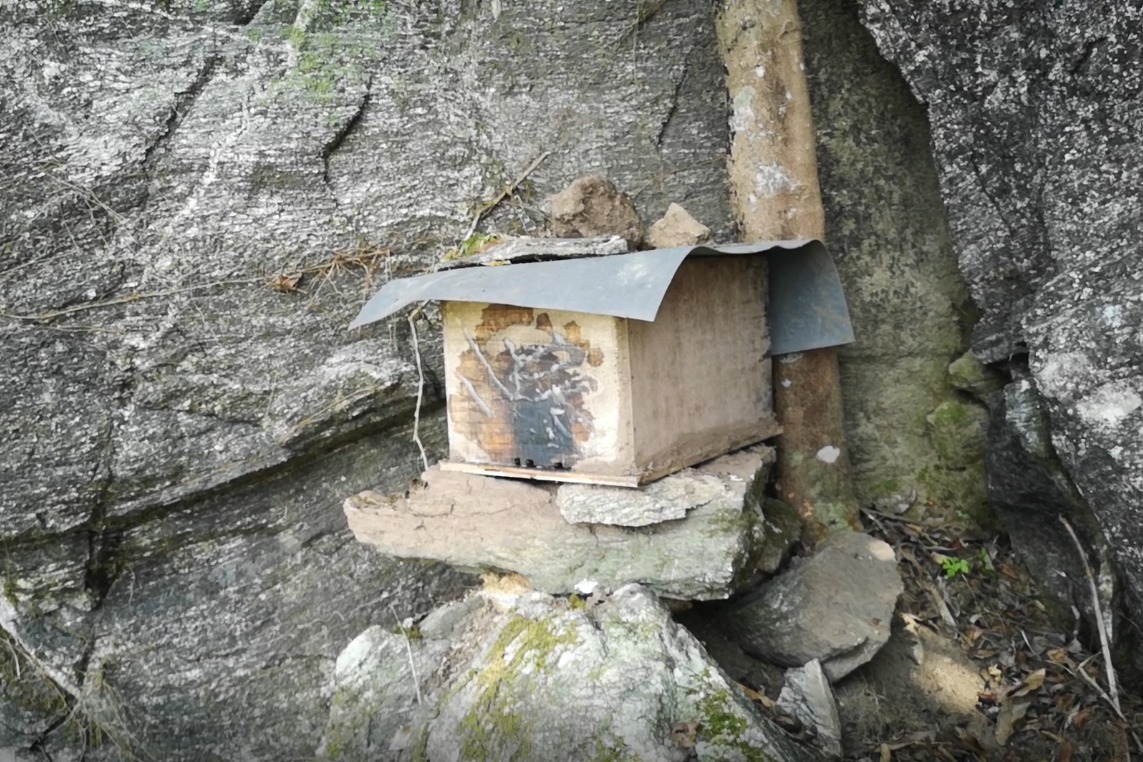 村夫检查诱蜂箱还有很多来了侦察蜂
