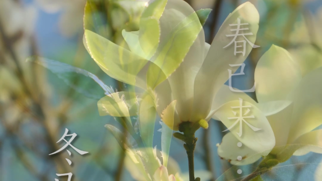 冬已尽,春已来