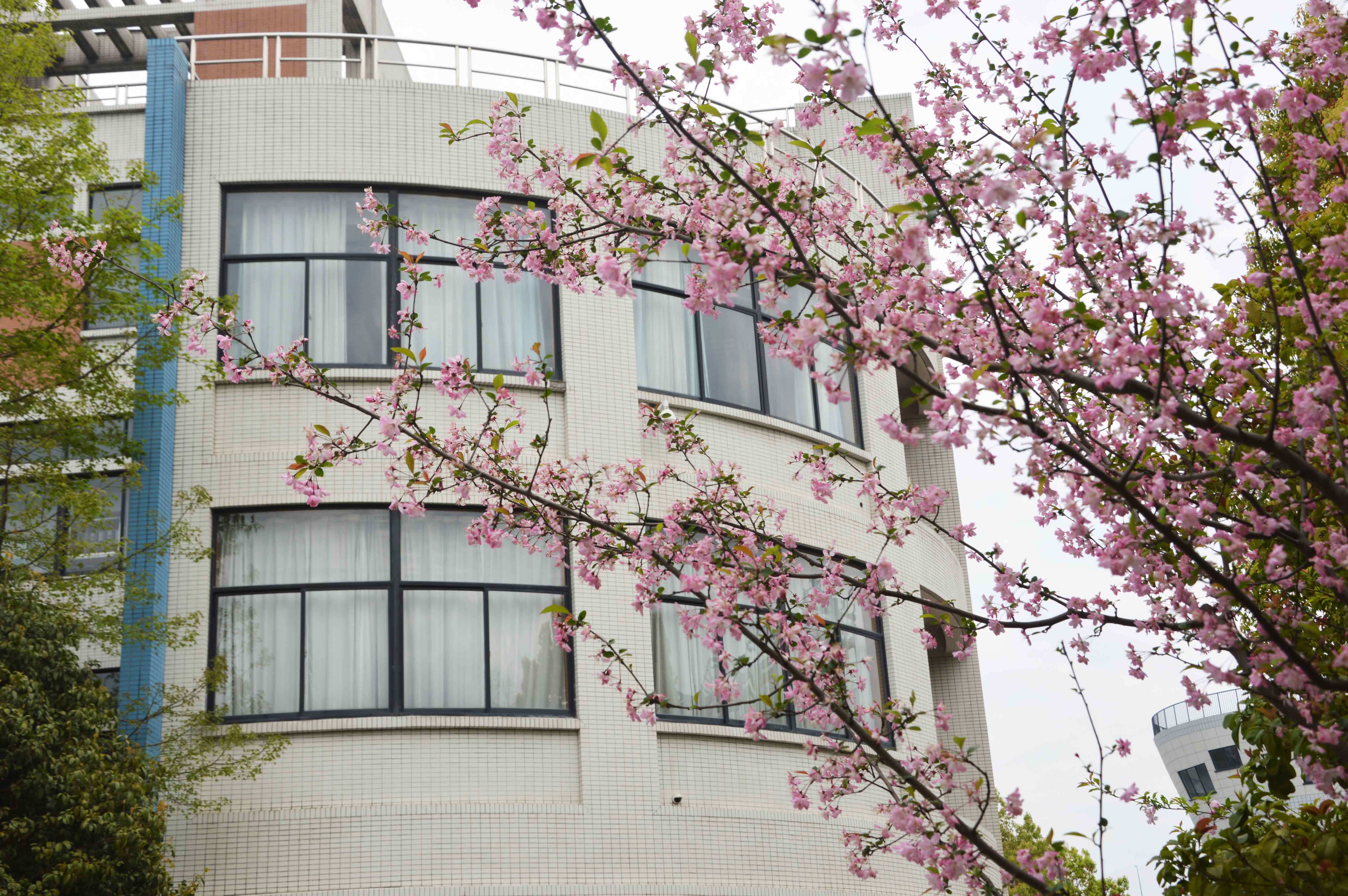 杭州市长河高级中学最是人间四月天