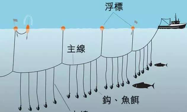 拖网捕鱼原理示意图图片