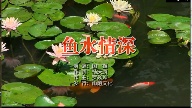 国巍- 鱼水情深mtv