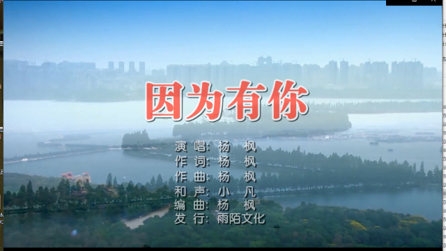 杨枫- 因为有你mtv