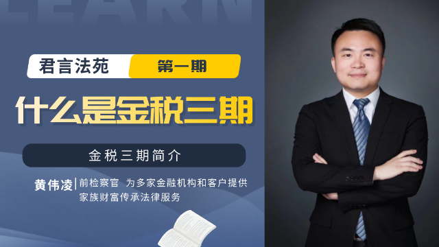 什么是金税三期？