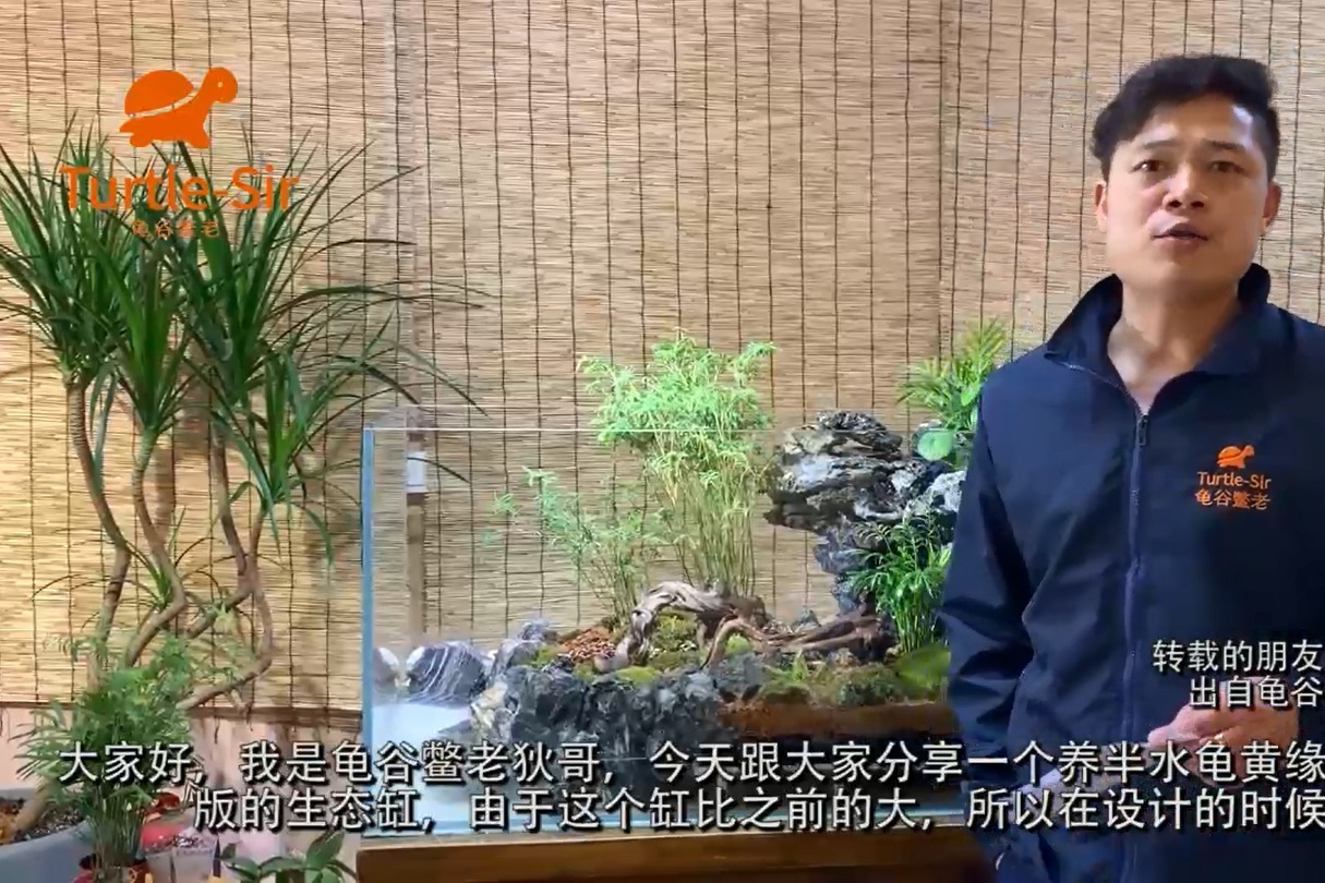 超美黄缘龟生态龟缸设计思路分享，欢迎龟友探讨「龟谷鳖老」