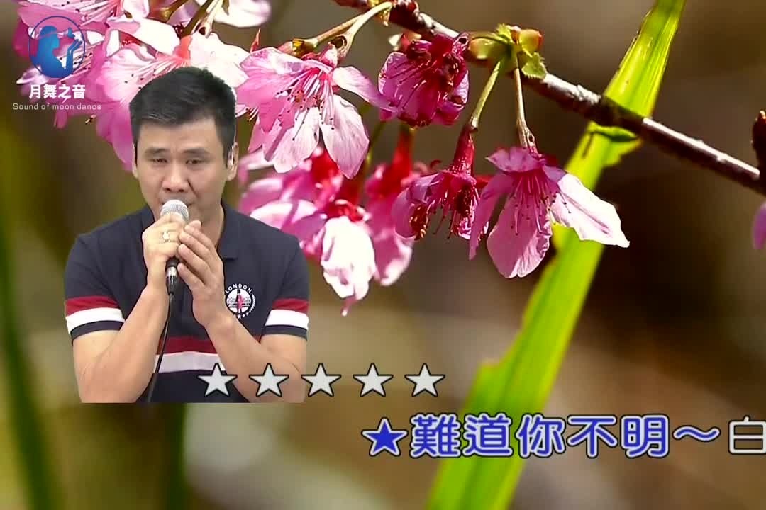 翻唱歌曲 你到底愛我不愛