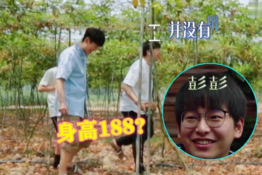 彭昱畅自信曝身高188引来众人质疑，黄磊补刀：公斤吧