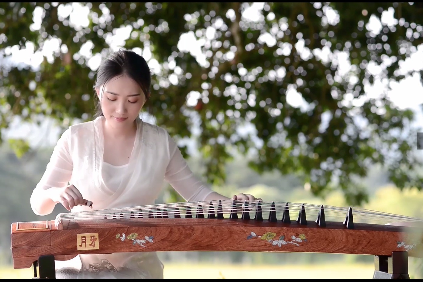古筝演绎毛不易不染竟然如此好听