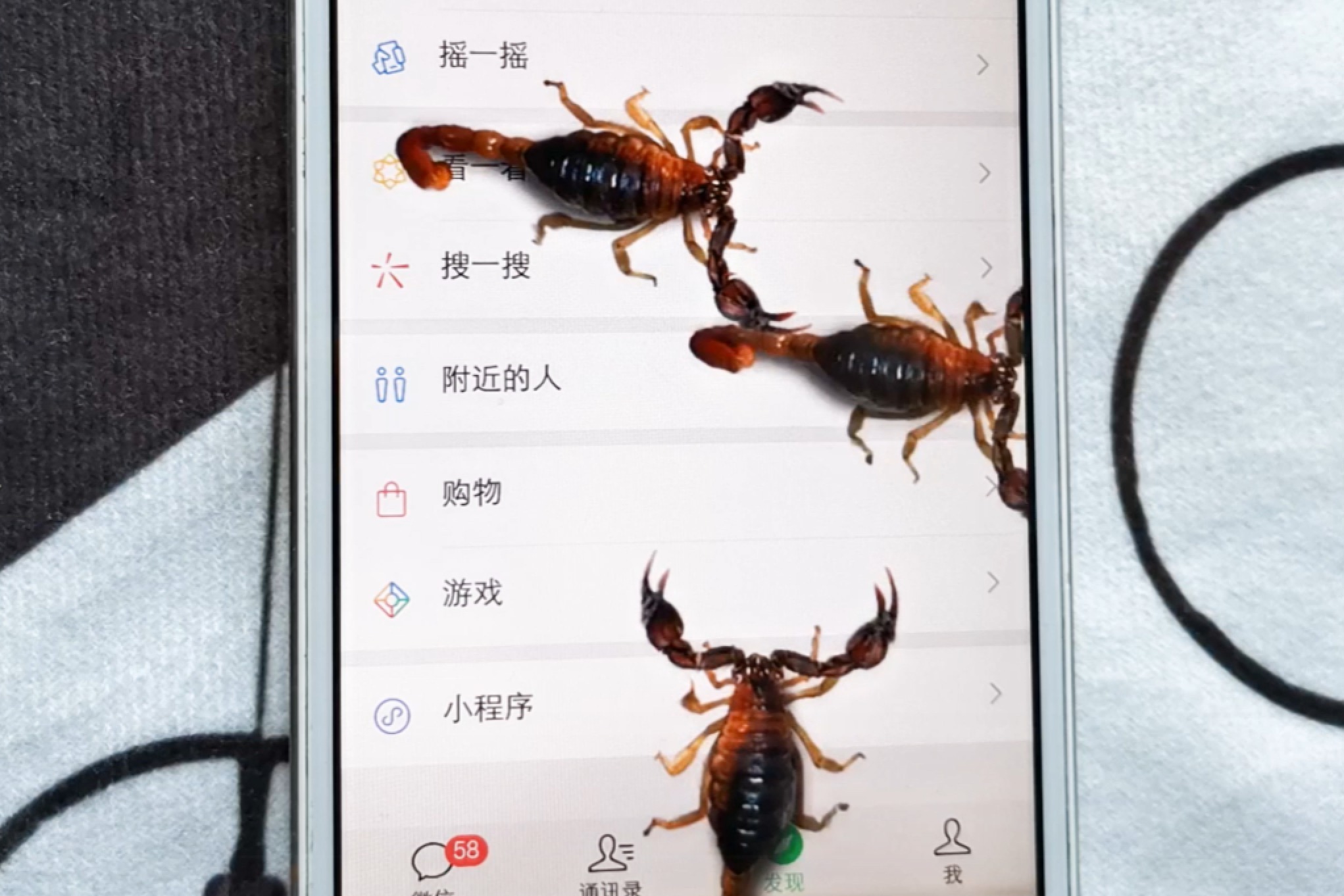 手机里可以养群大蝎子别人看了都感到头皮发麻太吓人了