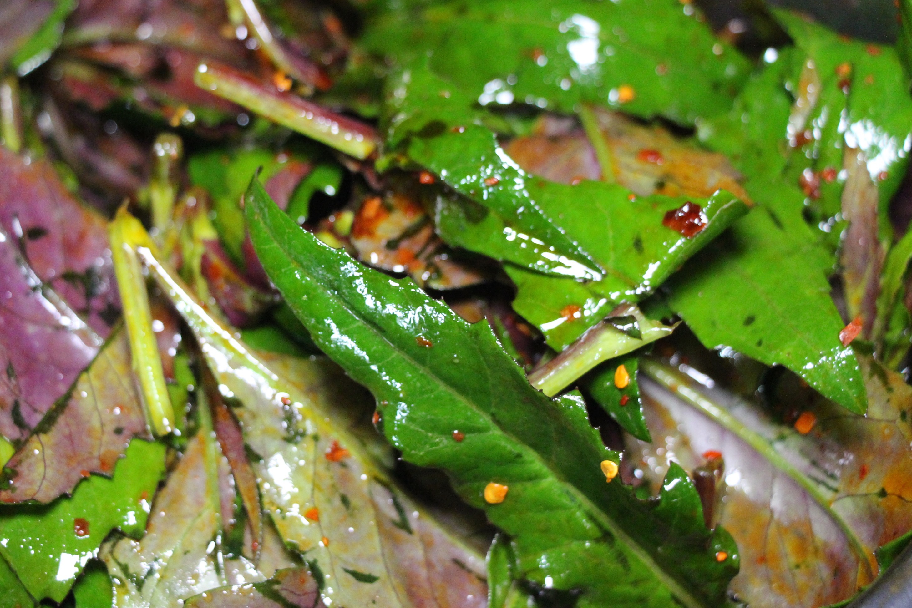 四川农村:三农升哥凉拌血皮菜,看着就像吃草一样,这也能吃吗