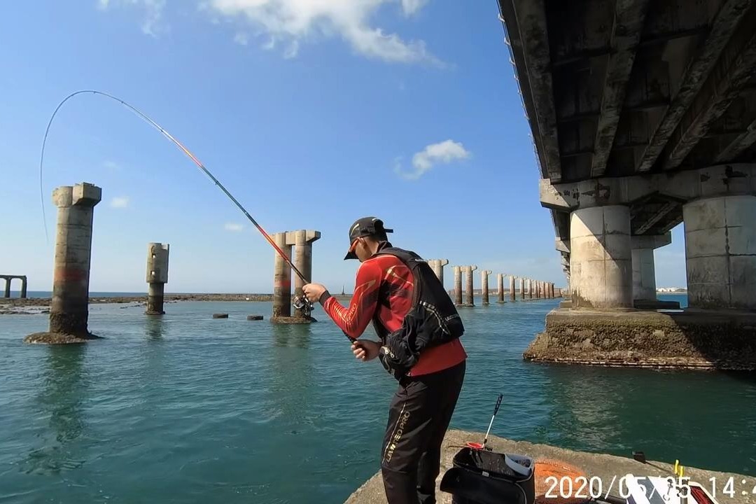 跨海大桥桥墩上钓鱼钓鱼人接二连三中鱼鱼情真不错