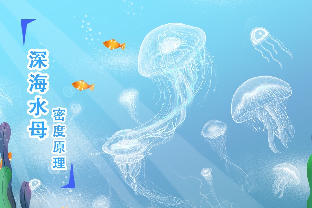 揭秘苹果水母服务器价格——全套购买成本及价格分析