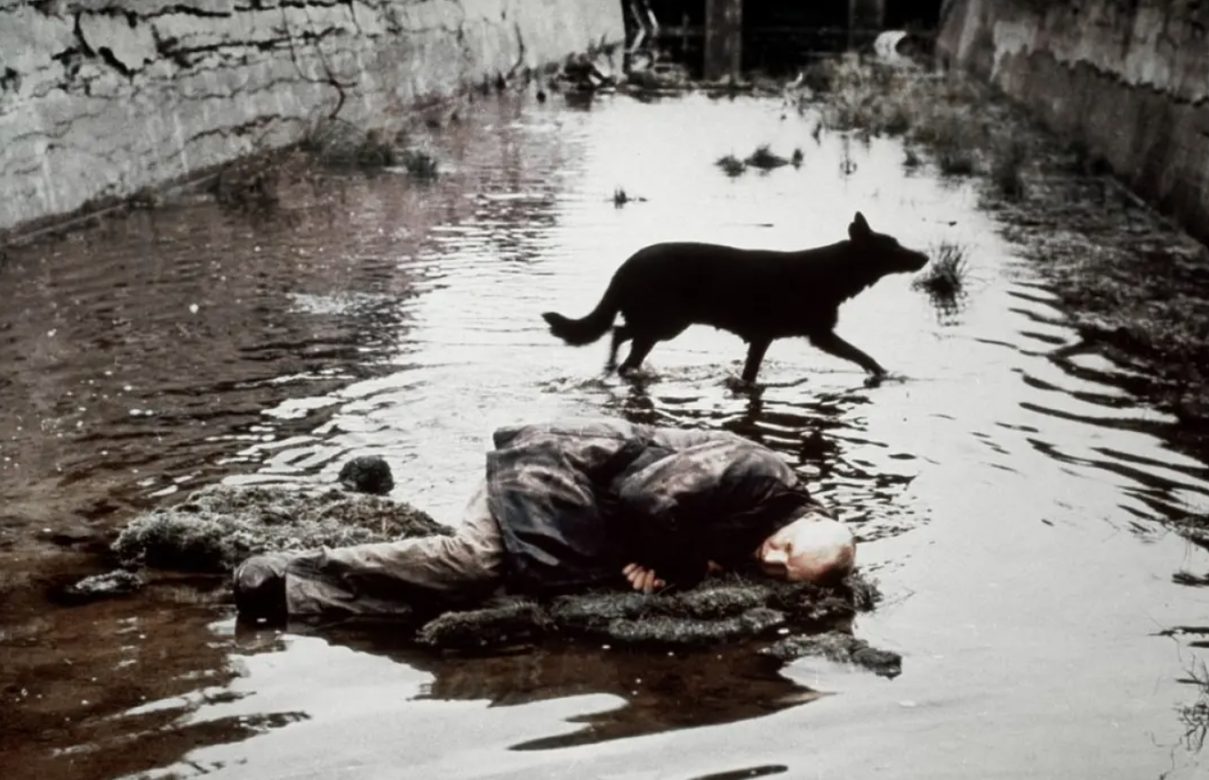 潜行者 穿过黑暗梦境之泽的狼 凤凰网