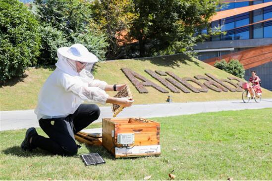在保护蜜蜂这件事上,我们每个人都要学习.