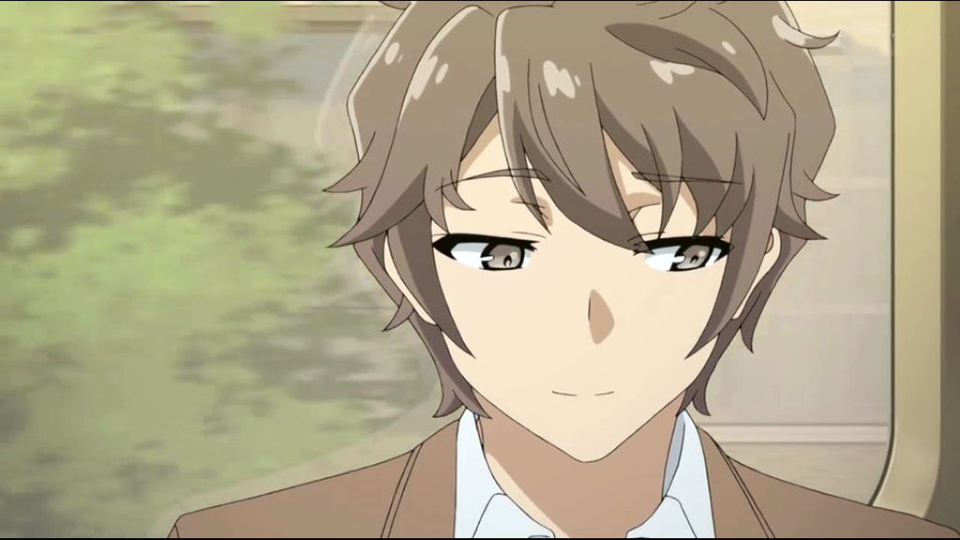 《青春猪头少年系列》——梓川咲太