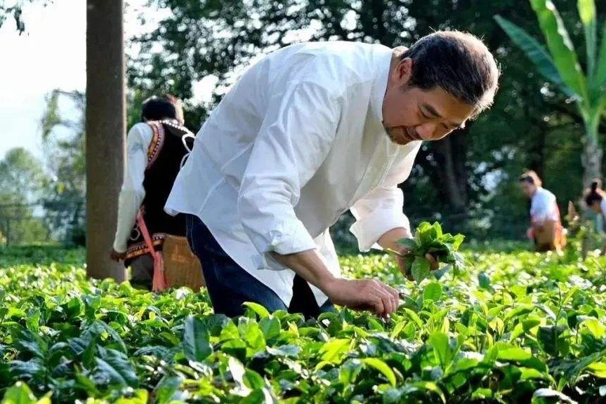 首个"国际茶日",推广大使张国立邀您一起喝茶