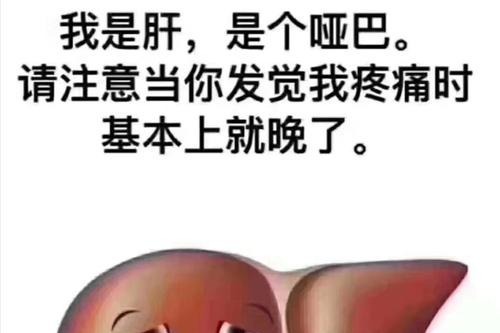 我是肝是个哑巴你的小心肝你保养爱车时可曾想过保养我
