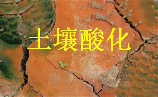 矿源黄腐酸钾复合肥有哪些作用?