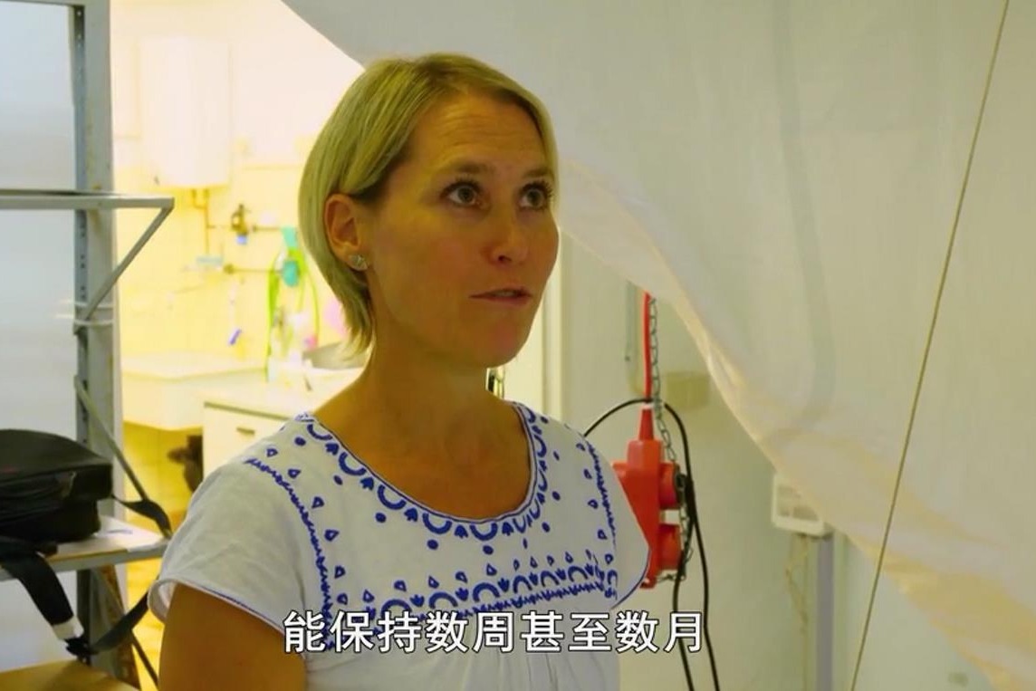 金鱼的记忆只有2秒？不要被传闻骗了，一探金鱼真实记忆力