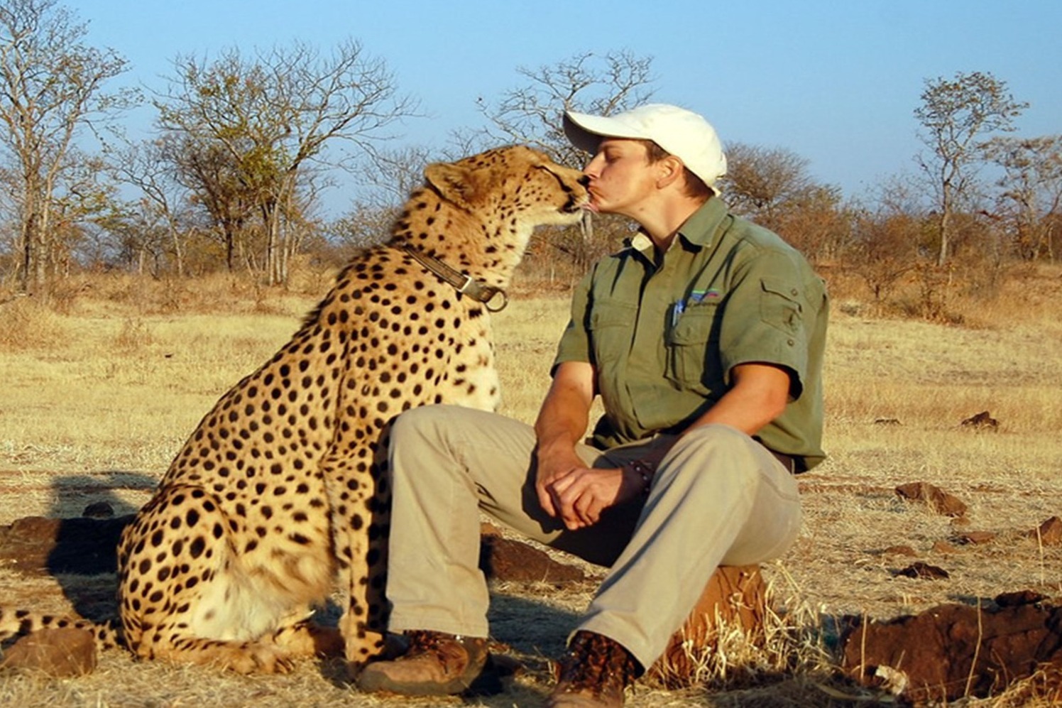 如果人可以和动物交流,那么你还愿意吃肉吗?心里有压力了!