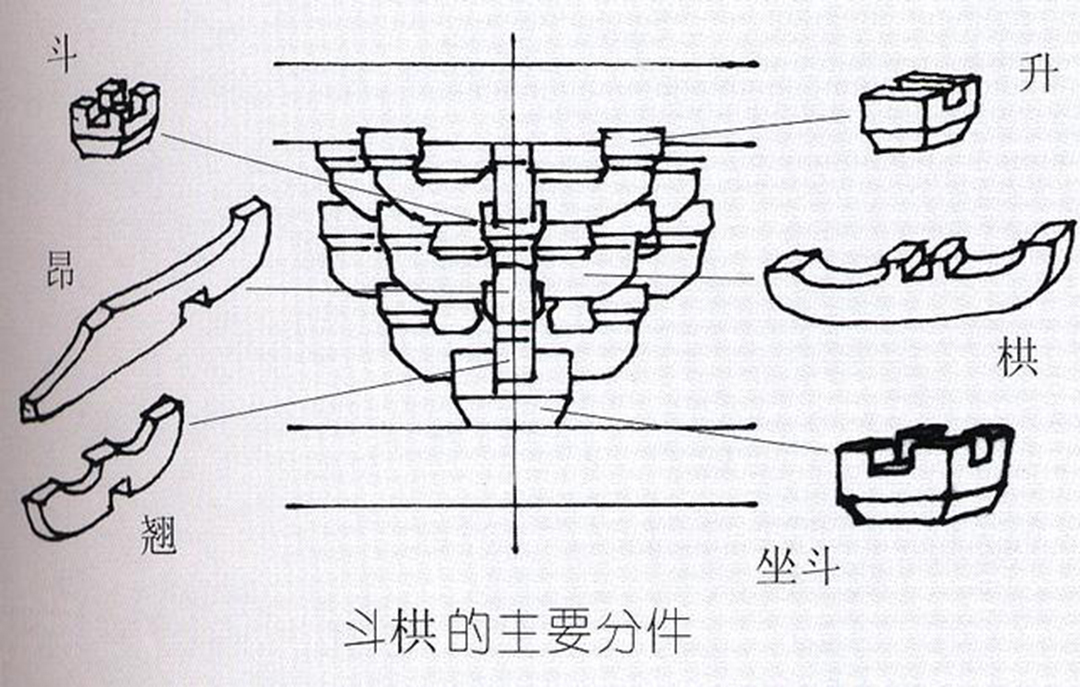 木,生于野安于室 