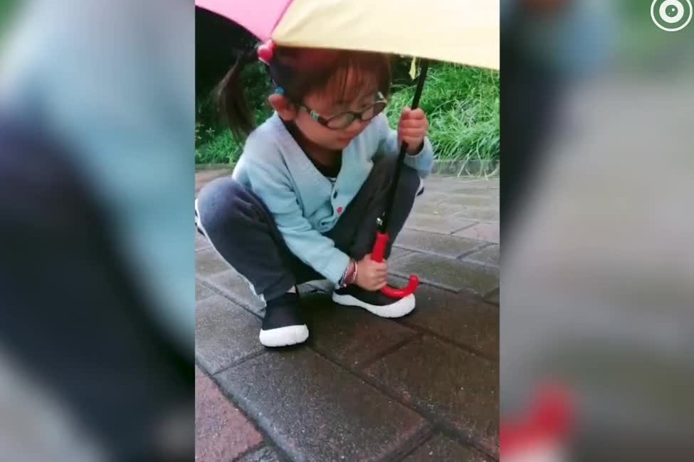 4岁萌娃雨天为蜗牛撑伞30分钟并送其“回家”：爸爸妈妈没来接它