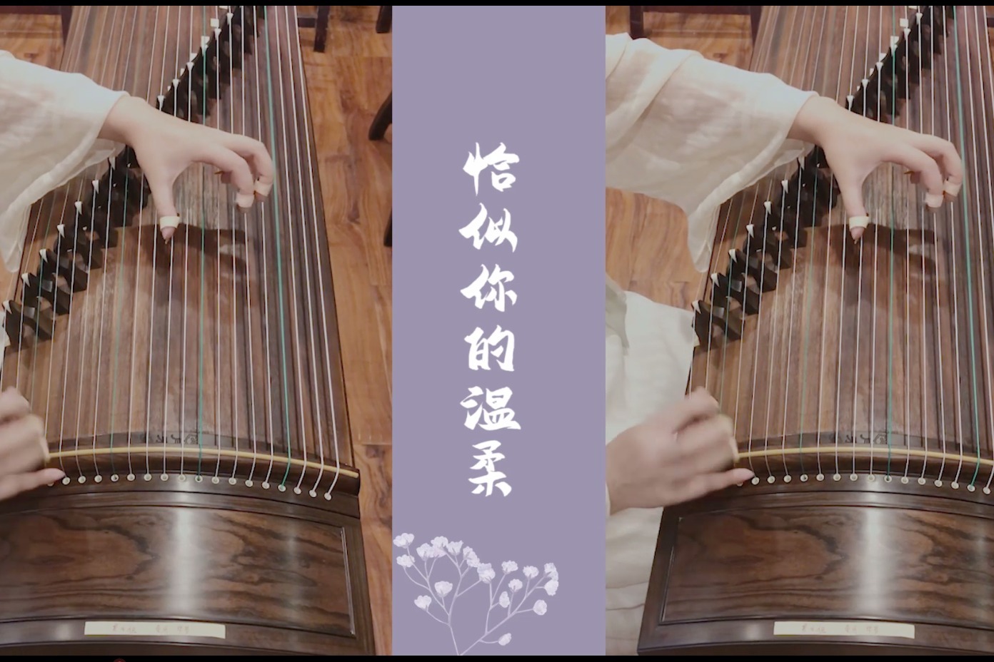 古筝弹奏《恰似你的温柔》曾被众多华语歌手翻唱的歌曲