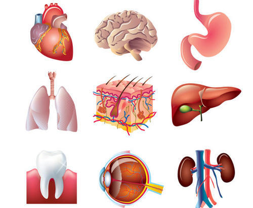 如果心口疼痛超过5分钟的话不一定是心脏问题,有可能是胆结石