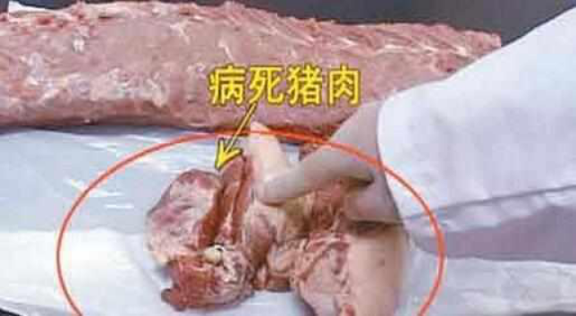 如何挑选猪肉：看、闻、检，杜绝病害病死猪肉