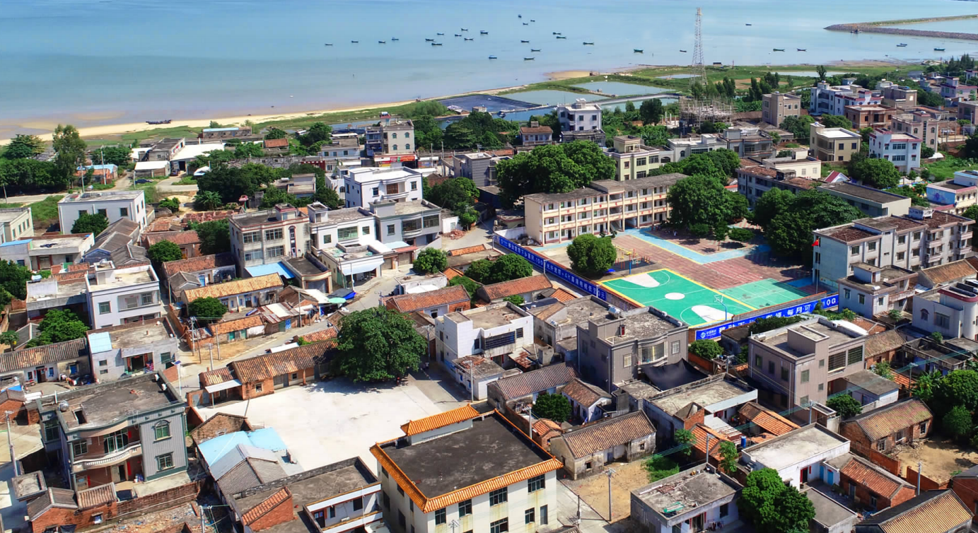 湛江经开区东山街道文参村